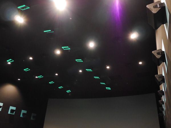 P1130674.jpg