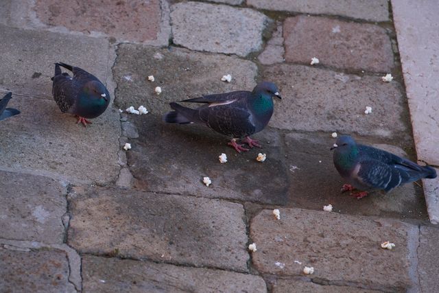 『岸辺露伴は動かない　懺悔室』ポップコーンバトルの裏側（メイキング＆場面写真）（5枚目）