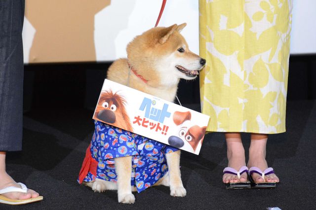 バナナマン、映画『ペット』続編に色気　画像ギャラリー（11枚目）