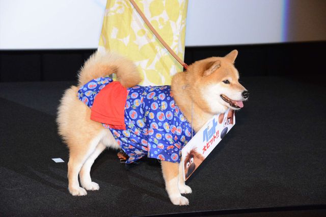 バナナマン、映画『ペット』続編に色気　画像ギャラリー（22枚目）