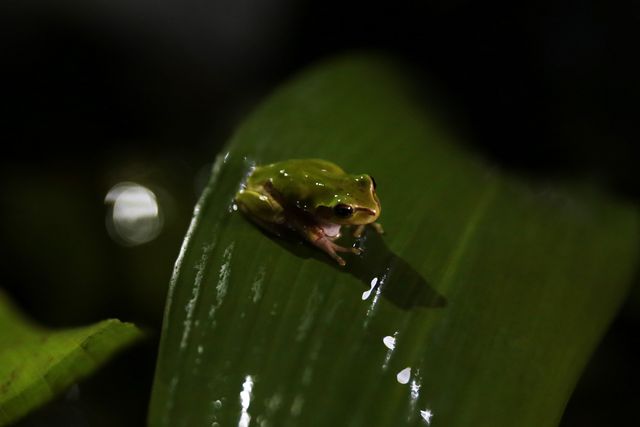 小栗旬主演、映画『ミュージアム』の裏側！撮影現場フォトギャラリー（6枚目）