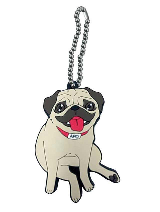 アポがストラップに！写真ギャラリー：フォトギャラリー