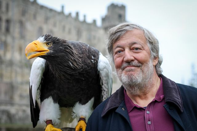 知られざる世界…『ファンタスティック・ビーストと動物の歴史』場面写真:フォトギャラリー