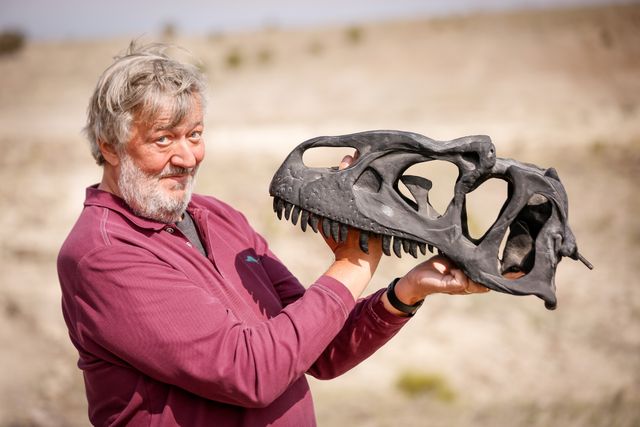 知られざる世界…『ファンタスティック・ビーストと動物の歴史』場面写真（5枚目）