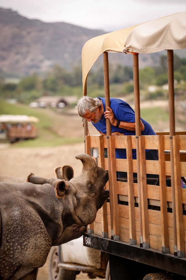 知られざる世界…『ファンタスティック・ビーストと動物の歴史』場面写真（6枚目）