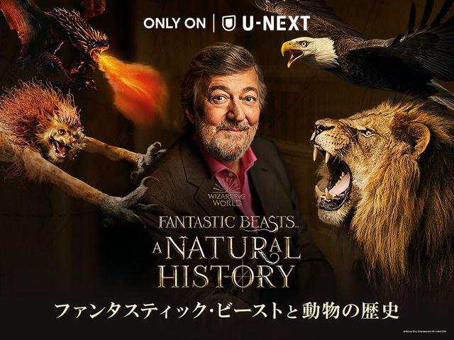 知られざる世界…『ファンタスティック・ビーストと動物の歴史』場面写真（7枚目）