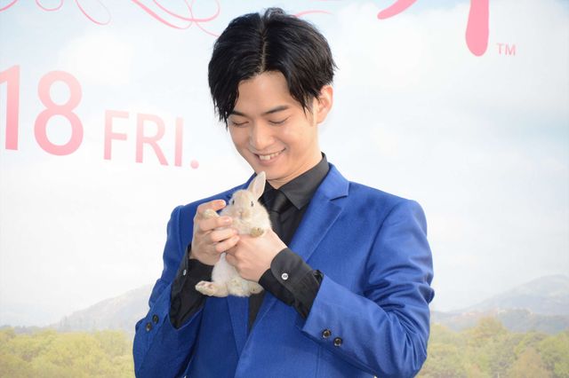 千葉雄大×うさぎ！『ピーターラビット』イベント：フォトギャラリー