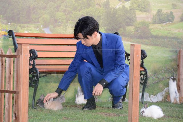 千葉雄大×うさぎ！『ピーターラビット』イベント（4枚目）