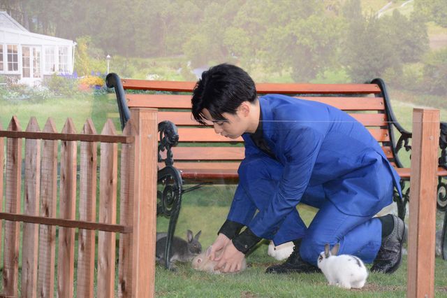 千葉雄大×うさぎ！『ピーターラビット』イベント（5枚目）