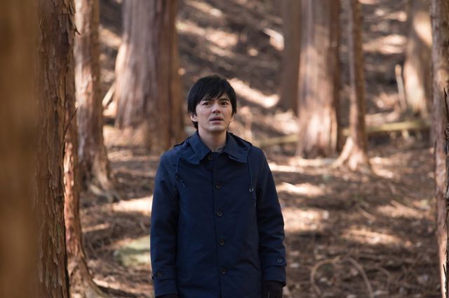 デートシーンも！林遣都×小松菜奈『恋する寄生虫』場面写真（5枚目）