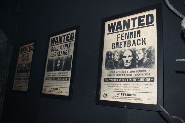 「ハリー・ポッター展」フォトギャラリー（15枚目）