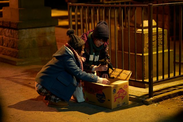 可愛すぎる…！「はな恋」愛猫バロン名場面集：フォトギャラリー