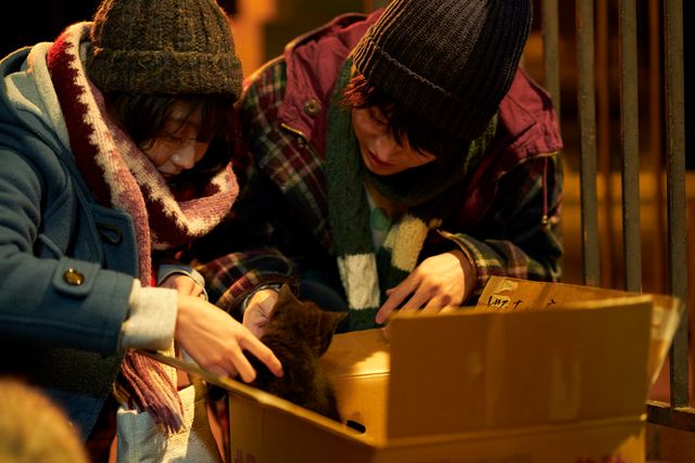 可愛すぎる…！「はな恋」愛猫バロン名場面集（2枚目）