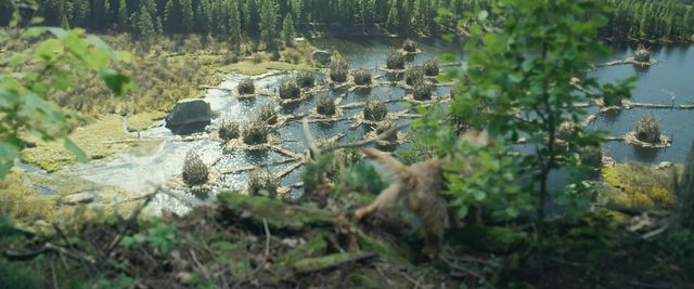 『カオス・ウォーキング』トム・ホランド＆デイジー・リドリーが猛ダッシュ！（2枚目）