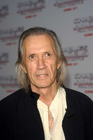 『チャーリーズ・エンジェル　フルスロットル』プレミア（84枚目）