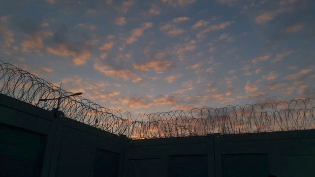 『ミッドナイト・トラベラー』場面写真（6枚目）