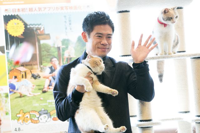 伊藤淳史、もふもふ猫にノックアウト！『ねこあつめの家』猫カフェ試写会フォトギャラリー（3枚目）