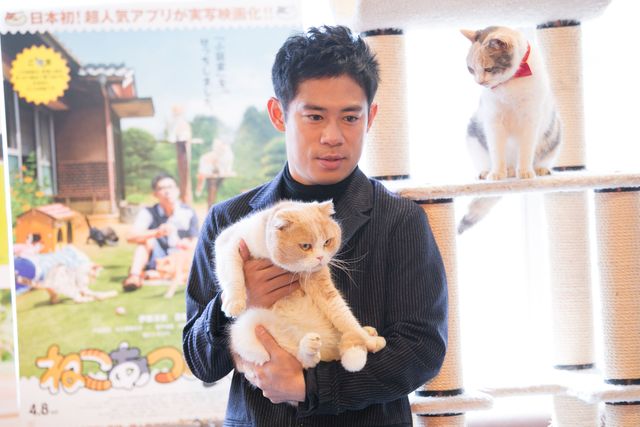 伊藤淳史、もふもふ猫にノックアウト！『ねこあつめの家』猫カフェ試写会フォトギャラリー（7枚目）