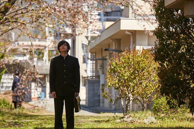 北村匠海＆吉沢亮の学ラン姿も！『さくら』新場面写真：フォトギャラリー