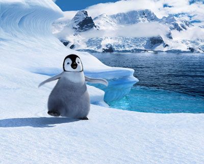最優秀長編アニメーション賞を 踊るペンギンが受賞 第79回アカデミー賞 シネマトゥデイ