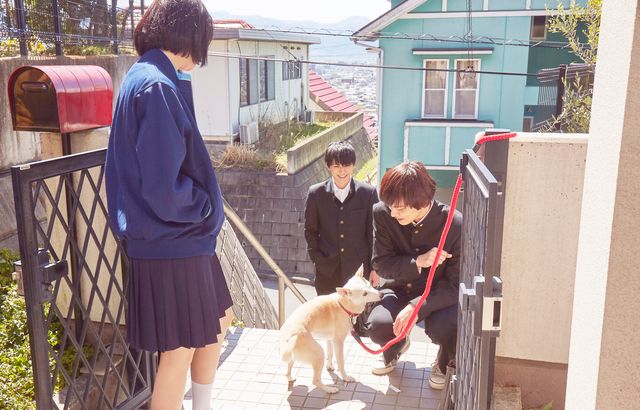 小松菜奈のセーラー服姿も！『さくら』場面写真（2枚目）