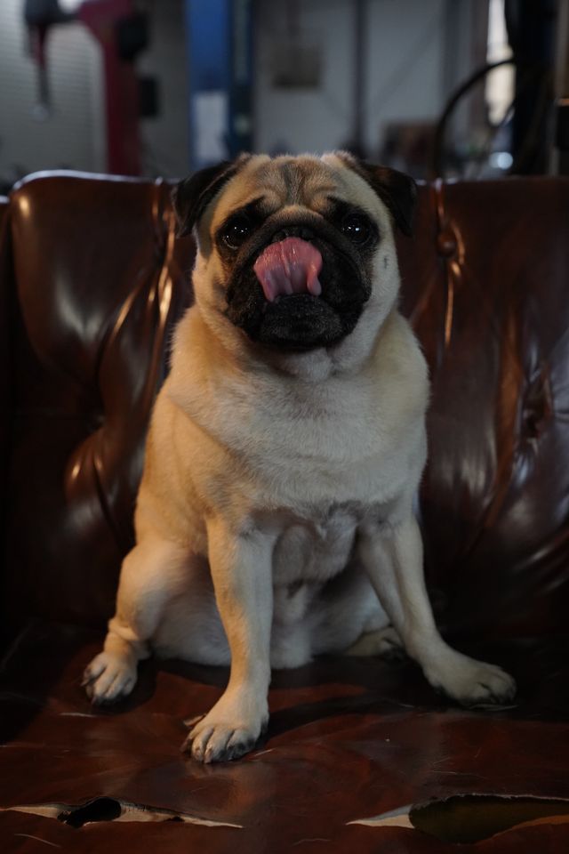 町田啓太、上半身びっしりタトゥー公開　Netflix「九条の大罪」メイキングカット集（21枚目）