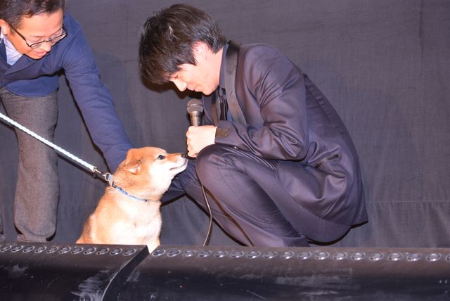 柴犬かわいい！林遣都主演、映画『しゃぼん玉』のワールドプレミア上映会 ギャラリー（4枚目）