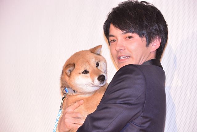 柴犬かわいい！林遣都主演、映画『しゃぼん玉』のワールドプレミア上映会 ギャラリー（5枚目）