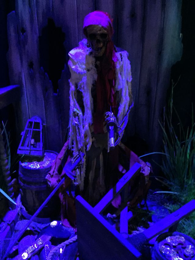 ディズニーの海賊たちがズラリ！D23 Expo「A Pirate’s Life for Me」（16枚目）