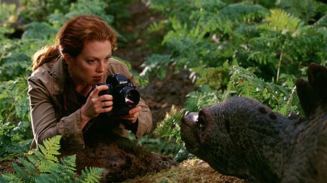 今夜、金曜ロードショーで放送！映画『ロスト・ワールド／ジュラシック・パーク』（1997）（6枚目）