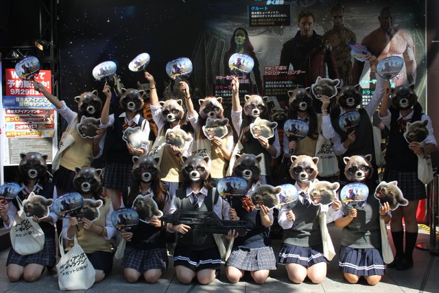 宇宙最凶アライグマが渋谷に大量出没！フォトギャラリー：フォトギャラリー