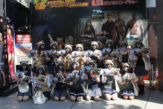 宇宙最凶アライグマが渋谷に大量出没！フォトギャラリー（3枚目）