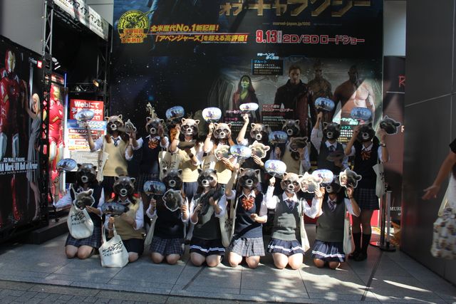 宇宙最凶アライグマが渋谷に大量出没！フォトギャラリー（5枚目）