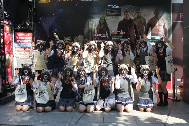 宇宙最凶アライグマが渋谷に大量出没！フォトギャラリー（6枚目）