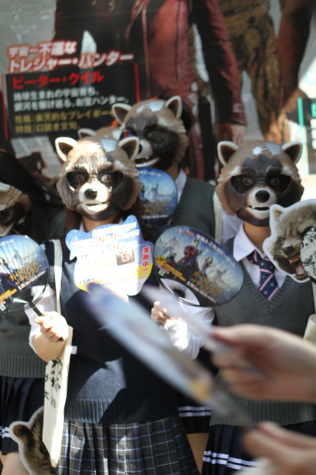 宇宙最凶アライグマが渋谷に大量出没！フォトギャラリー（9枚目）