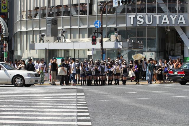 宇宙最凶アライグマが渋谷に大量出没！フォトギャラリー（10枚目）