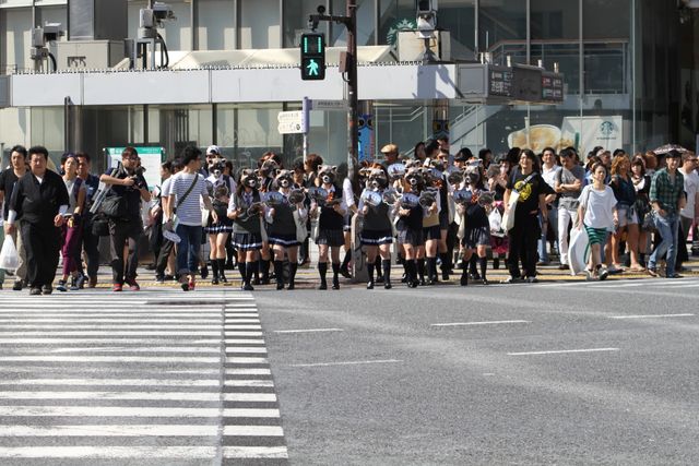宇宙最凶アライグマが渋谷に大量出没！フォトギャラリー（11枚目）