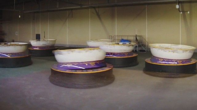 ディズニー新アトラクション！「美女と野獣“魔法のものがたり”」（10枚目）