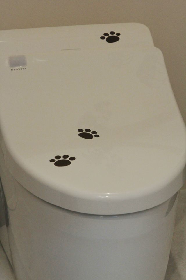 オシャレな「サザエさん」カフェ！フォトギャラリー（18枚目）