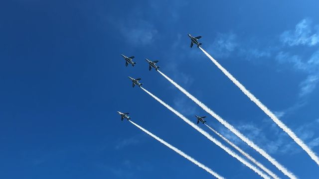 「TBSドキュメンタリー映画祭 2026」ドキュメンタリー初心者におすすめしたい作品3選：フォトギャラリー