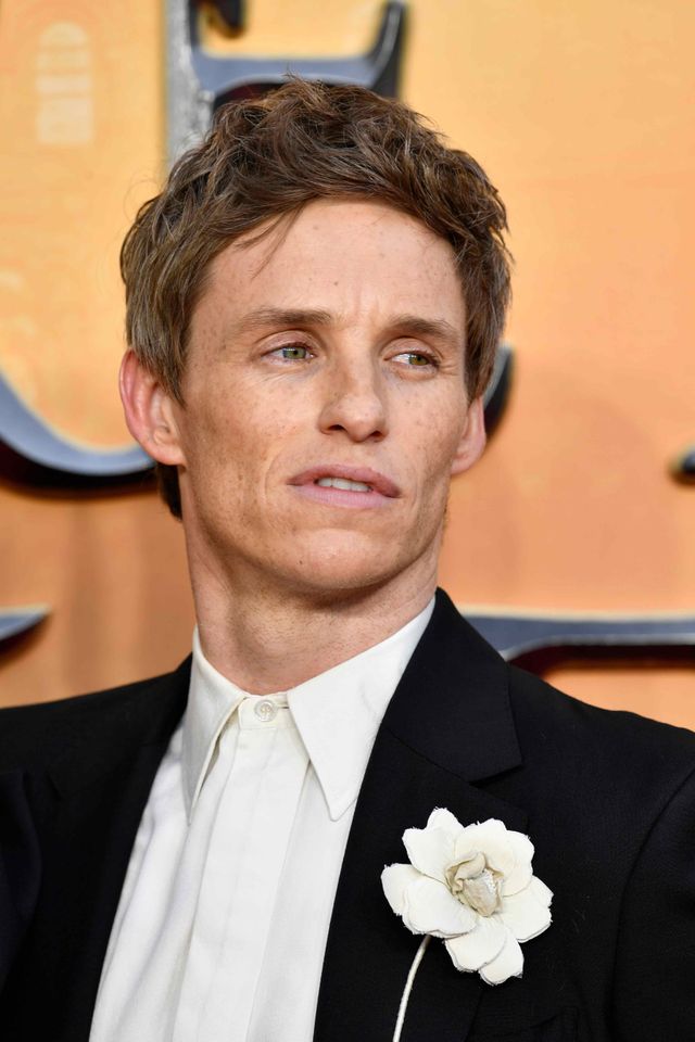 自撮りマッツの破壊力！『ファンタスティック・ビーストとダンブルドアの秘密』ワールドプレミア（5枚目）