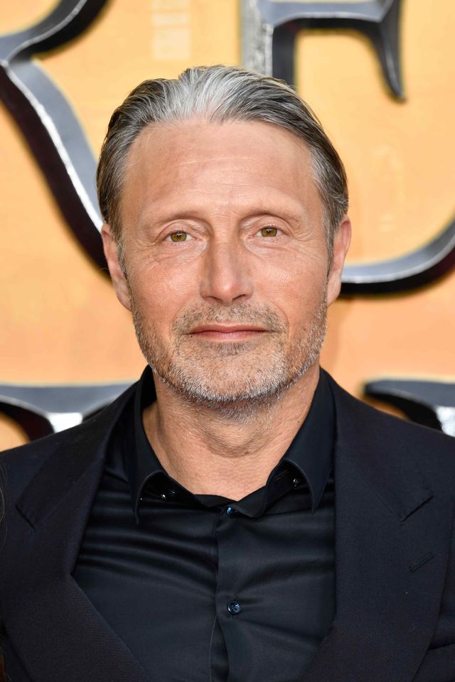 自撮りマッツの破壊力！『ファンタスティック・ビーストとダンブルドアの秘密』ワールドプレミア（6枚目）