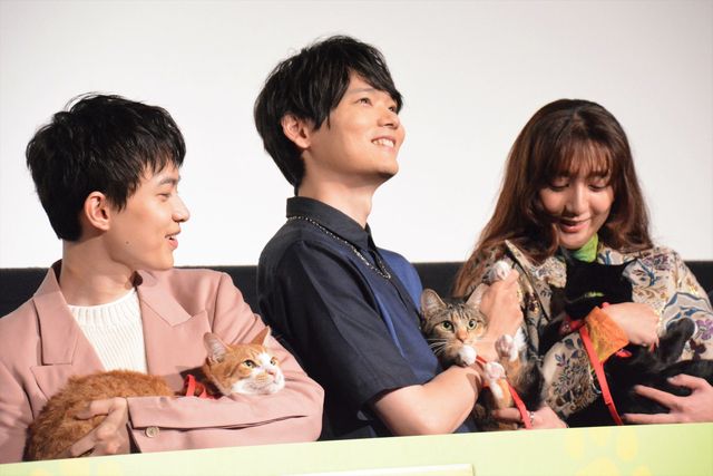 猫と登壇！古川雄輝、上村海成、本田剛文、松大航也ら『劇場版　ねこ物件』完成披露（11枚目）