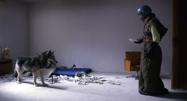 オオカミを愛する女性が見つめるのは…映画『ワイルド わたしの中の獣』場面写真ギャラリー（2枚目）