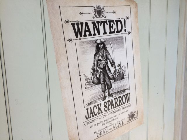 海賊たちにジャックされたパーク内の様子（10枚目）