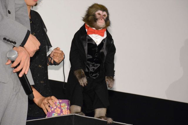 深田恭子のはじける笑顔にノックアウト！『超高速！参勤交代』舞台あいさつフォトギャラリー（3枚目）