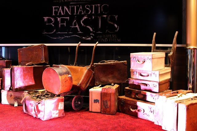 ハリポタ新シリーズ『ファンタスティック・ビースト』ファンイベントinロンドン！フォトギャラリー（6枚目）