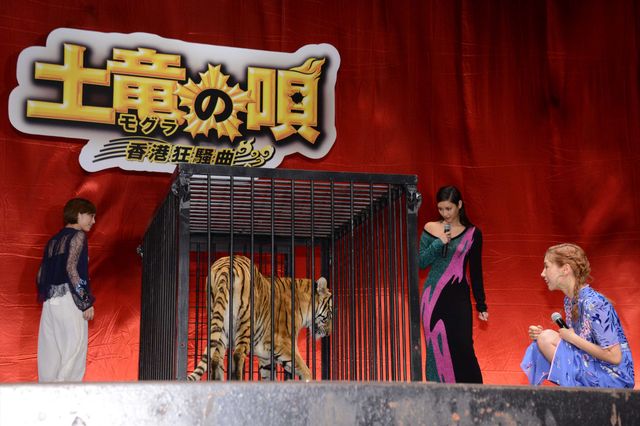 美女3人とトラ！映画『土竜の唄　香港狂騒曲』イベントギャラリー（4枚目）