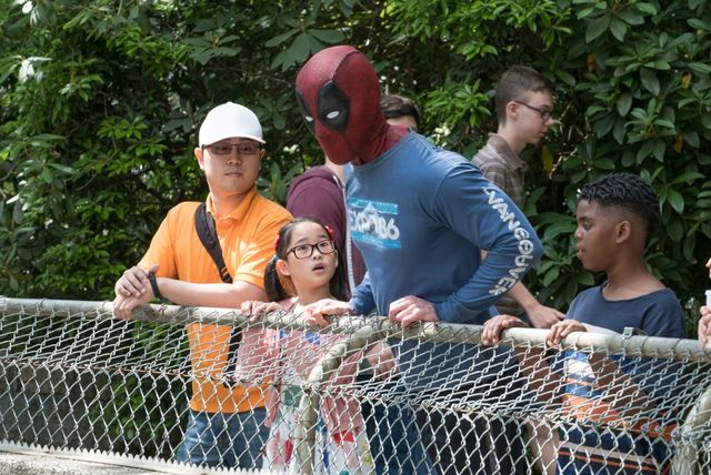 別バージョンも収録！『デッドプール2』場面写真（2枚目）