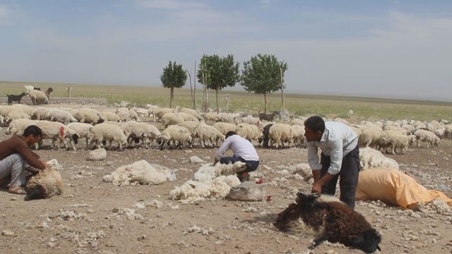 日本初撮影！2,000年以上続くメイマンドの洞窟住居（14枚目）